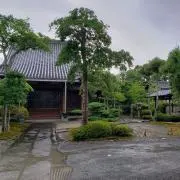 ネム