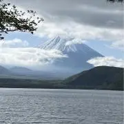 メイプルの画像
