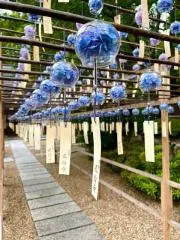 まぁ丸ฅ^•ω•^ฅ♪プロフィール必読の画像