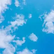 ちょこみんとの画像
