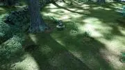 南咲.即購入okの画像