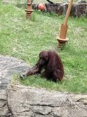 ナカタの画像