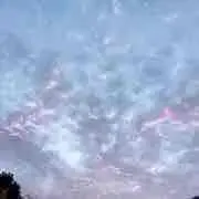 N *（プロフ必ず読んでの画像