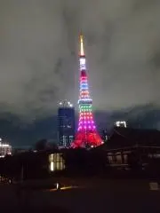 まやまの画像