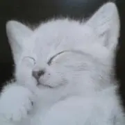 こばった