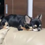 なつ