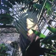 KENTYの画像