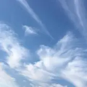 ari♡の画像