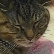 まさ