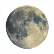 otoの画像