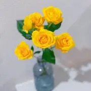 あぉあぉの画像