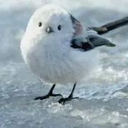 Iiii