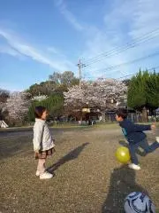 あかはなの画像