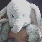 ななこの画像