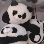 つぼまの画像
