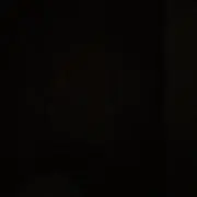 airio-orioの画像