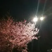即購入OK★MSの画像