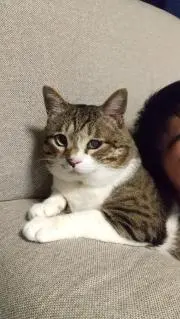 さと