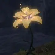 2121の画像