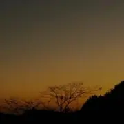 Kazuyaの画像