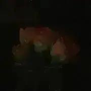ポンズの画像