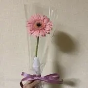 Rの画像