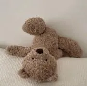 ととろの画像