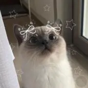 Evan☺︎プロフ必読の画像