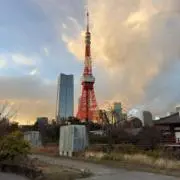 皐月の画像