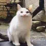 未来