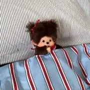 hn.の画像