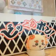 まむの画像