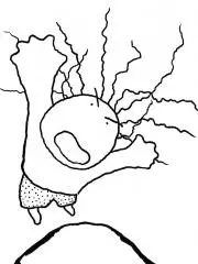 そうけいとの画像