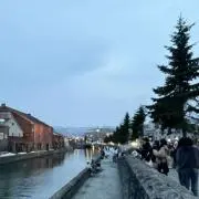 あの画像