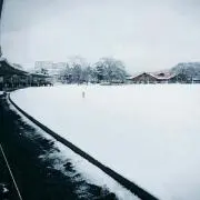 ゆうかの画像