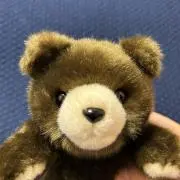 くまの画像