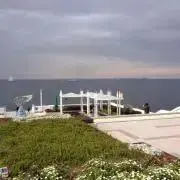 byjkの画像