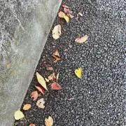ooの画像