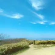 Skyの画像