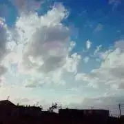 ＊pipi＊の画像