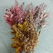 ki-kiプロフ確認お願いします☆の画像