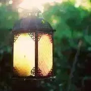 ライの画像
