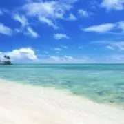 HANAの画像
