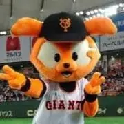 ジャビッツ