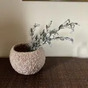 nonchankoの画像