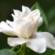 ぱる✳︎プロフィールをご確認ください！の画像