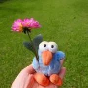 はちどりの画像