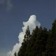nの画像