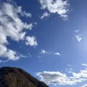 しゅうの画像