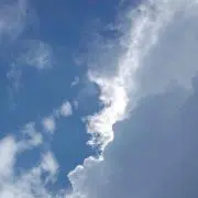 のり